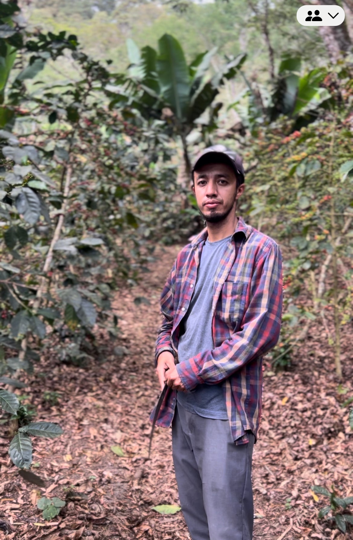 Josue- Finca Celia in Kaffeeplantage