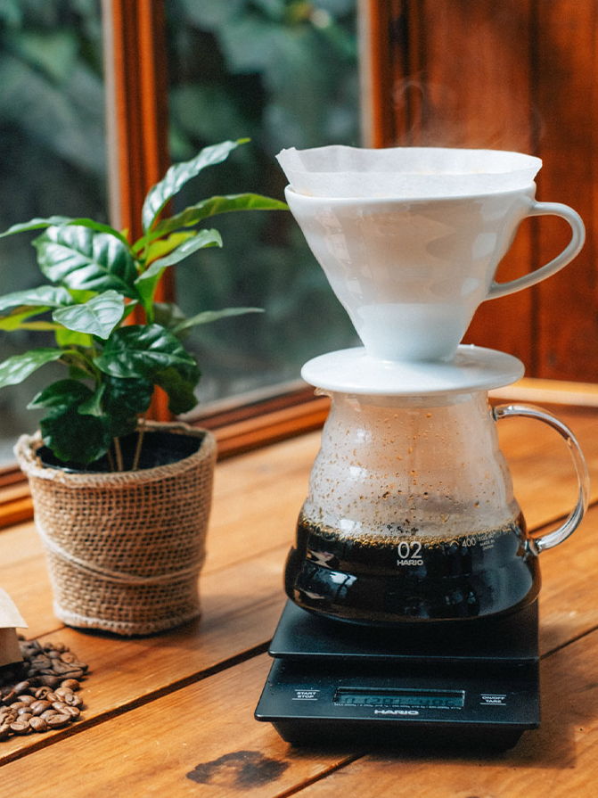 Hario Dripper Keramik weiss auf Hario Glaskanne