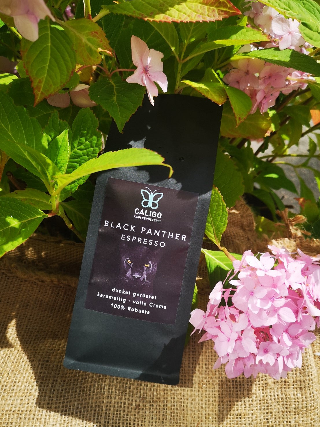 Black Panther Espresso - Caligo Kaffeerösterei - schwarze Kaffeeüte auf Jutesack vor Hortensie