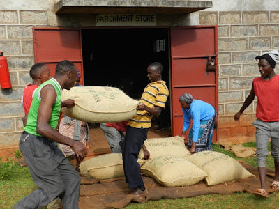 Nyeri - Kenia - Filterkaffee - PROJEKTKAFFEE